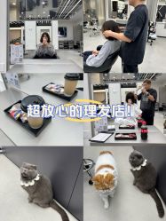 -蚂蚁造型俱乐部