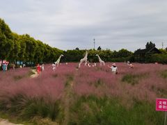 -广东花都香草世界旅游度假区