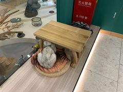 -飞行喵MR PILOT|猫舍·猫咖(静安大融城店)