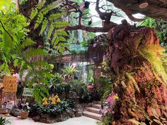 -正佳雨林生态植物园