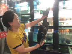 -全乐鱼馆·淳牌有机鱼直营店