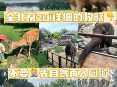 -北京野生动物园