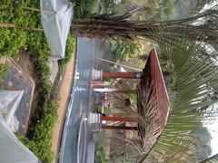 桂湖汇雅温泉-汇雅温泉
