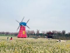 -武汉紫薇都市田园