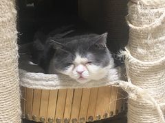 -小时光咖啡馆(开森度假森林店)
