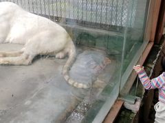 -南昌动物园