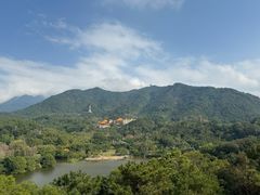 -深圳仙湖植物园