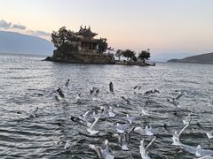 -小普陀