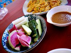 -老村长农家院