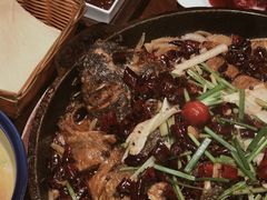 -老板恋上鱼(高新万达店)