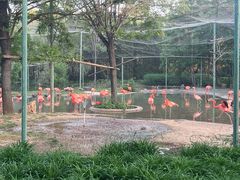 -石家庄市动物园