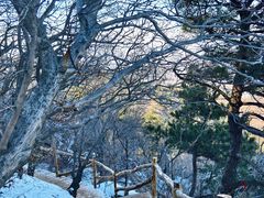 -鲁山国家森林公园