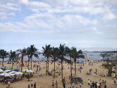 -大梅沙海滨公园