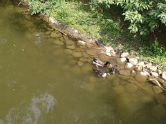 -长白岛森林公园