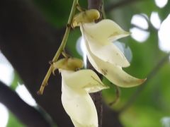 景点-天鹿湖森林公园