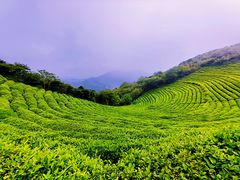 -桃花岛风景旅游区