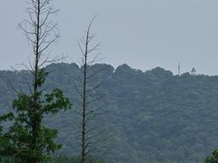 -紫金山山顶公园