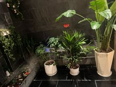 -三利音·玖弄小鲜(浦东嘉里城店)