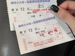 -合肥滨湖国家森林公园