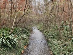 -桤木河湿地公园