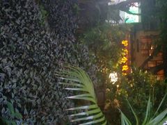 -五合院·整点烤肉