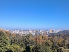 -潜山国家森林公园