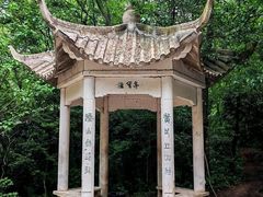 -紫金山山顶公园