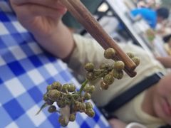 -故市王红水盆羊肉