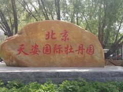 -太阳宫公园