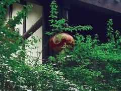 -五凤溪古镇