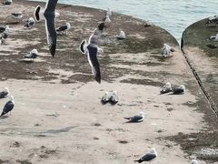 -大连圣亚海洋世界