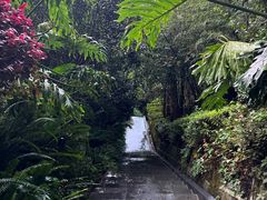 -腾冲洞山温泉村