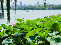 -济南大明湖景区