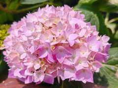 -山东省千佛山医院