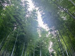 -天目湖涵田度假村