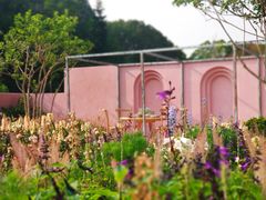 -深圳市中科院仙湖植物园