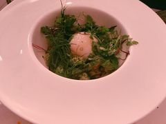 -Ocean's Table 欧舍