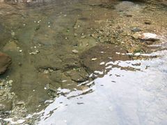 -宁波五龙潭景区