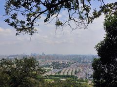 -灵岩山风景区
