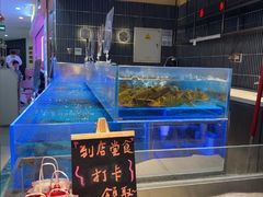 -海底捞火锅(长宁路龙之梦店)
