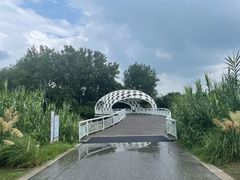 -同里国家湿地公园