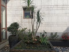 -临江·阅炉