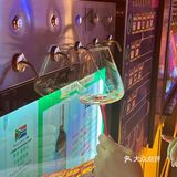 开闸放酒~💰99实现🍷自由
