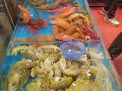 -吴记富苑(朝阳店)