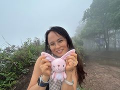 -羚羊峡古栈道森林公园