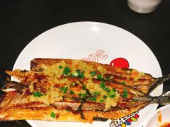 -欢乐牧场(T12店)