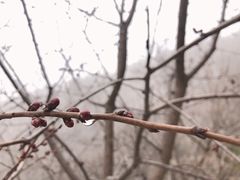 -天津盘山风景名胜区