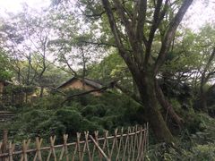 -法云古村
