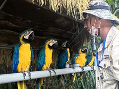 -西霞口神雕山野生动物世界