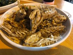 椒盐濑尿虾-兴记菜馆